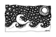 It Otter Be Fun Beneath the Starlit Sky
